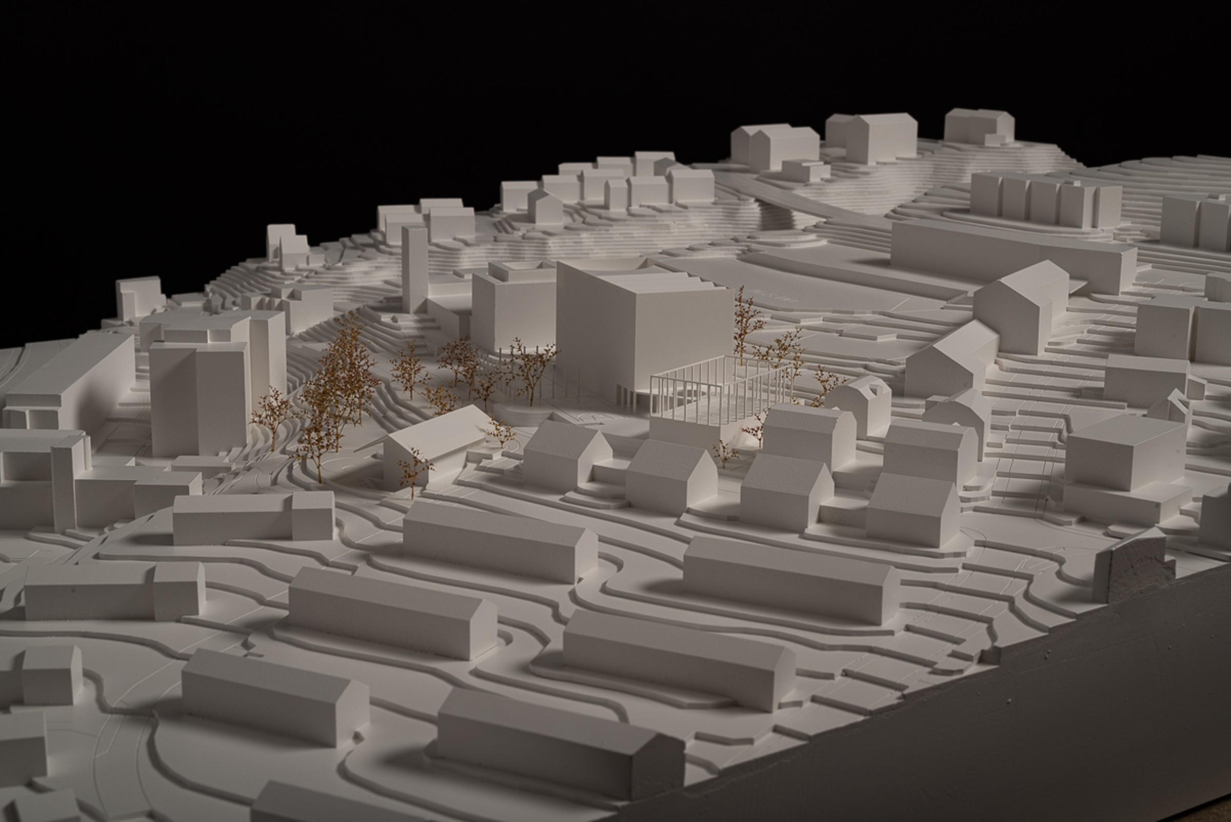 dsc_4818-1.png