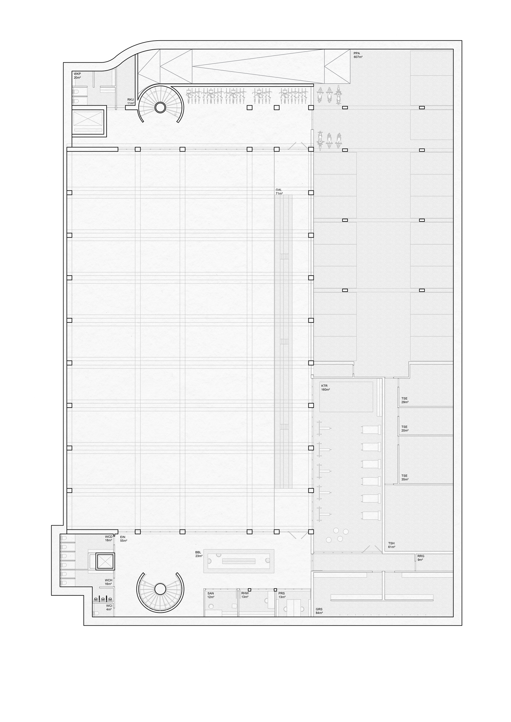 grundriss--1-final---schnitt.png