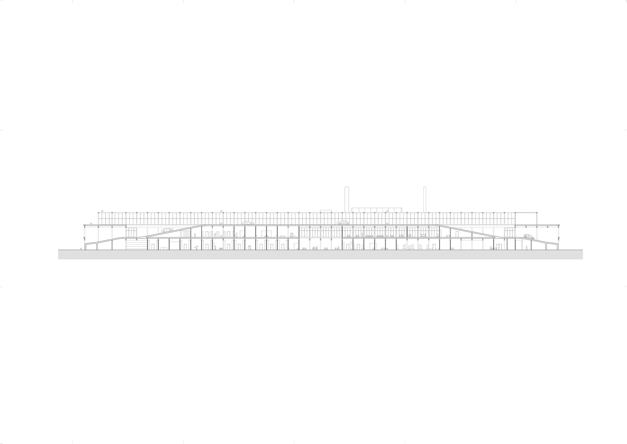 section-long-1_200-1704975717.png
