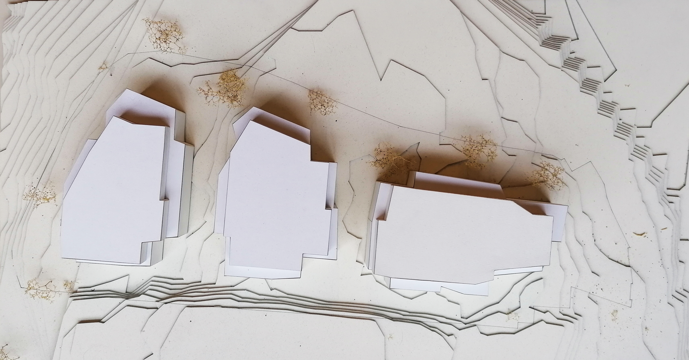 wv-architecten-ata-20-antonissen-tienstraat-aarschot_model2.png